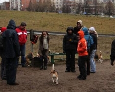 1204488750_img_7375-vi
