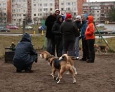 1204488767_img_7381-vi