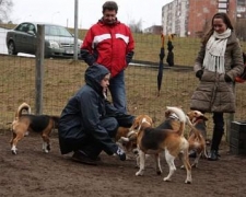 1204488777_img_7382-vi