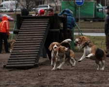 1204488974_img_7476-vi