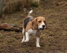1204489287_img_7544-vi