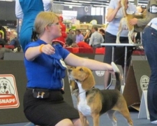 wds_2012_248