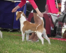 dscf4249