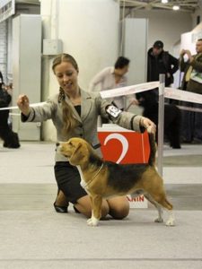 2011-04-16 Mukas
